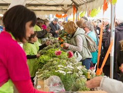 Fête de l'Artichaut - Sainte-Marie la Mer - Pyrénées-Orientales