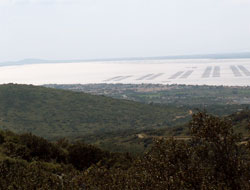 Le Pioch Noir - Massif de la Gardiole