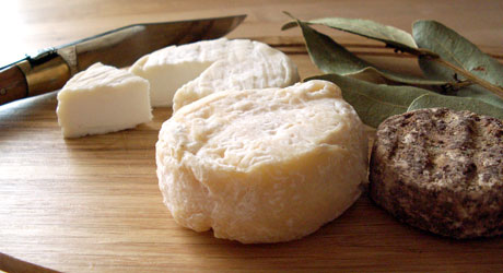 Pélardon - fromage de chèvre