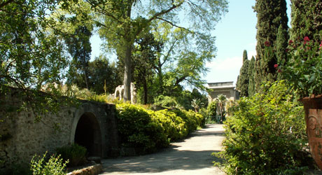 Jardin des Plantes - Montpellier - Hérault