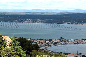 Etang de Thau depuis le mont Saint-Clair