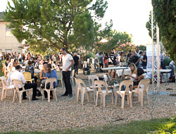 Les Festivales de Saporta 2014