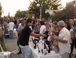 Les Festivales de Saporta - Lattes - Hérault