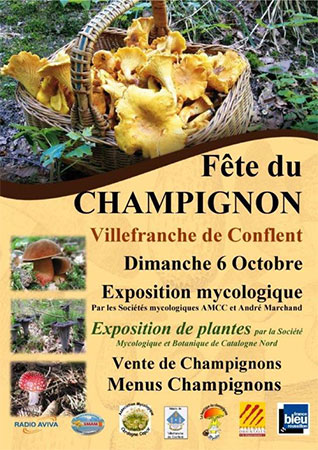 Fête Du Champignon  Villefranche-de-Conflent  Pyrénées-Orientales