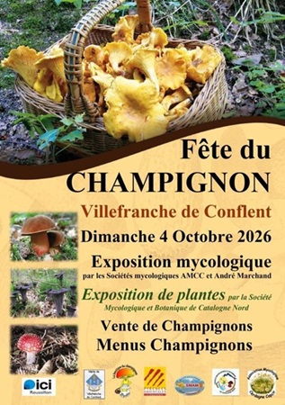 Fête Du Champignon Villefranche-de-Conflent Pyrénées-Orientales