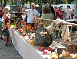 Variétés de Tomate - Festival Clapiers