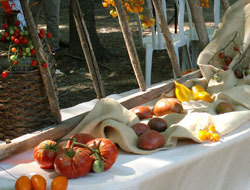 Festival de la Tomate - Clapiers