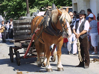 Foire aux chevaux Fourques  Gard