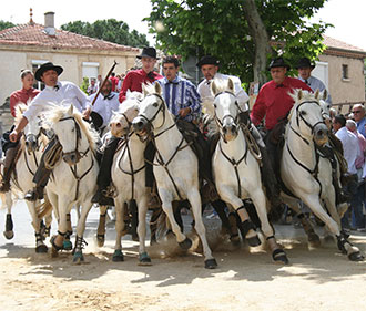 Concours d'abrivado Vauvert