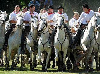 Les Fêtes de la Madeleine Beaucaire  Gard