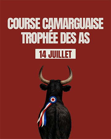 Course Camarguaise – Trophée des As LE GRAU-DU-ROI