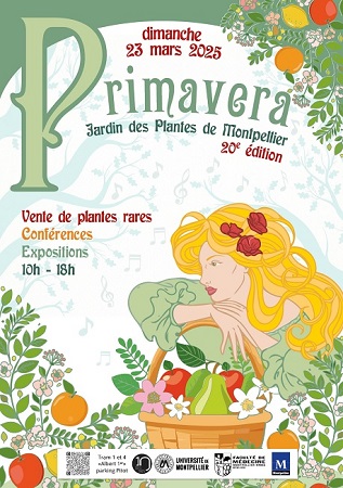 Primavera - Montpellier - Hérault.