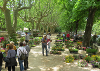 Fête des fleurs et du jardin du Barjac - Gard.