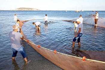 Fête du Bouletchou - Mèze - Hérault.