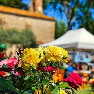 Floralies de Juhègues - Torreilles - Pyrénées Orientales