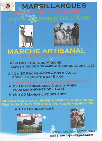 Journée de l'Âne - Marsillargues - Hérault