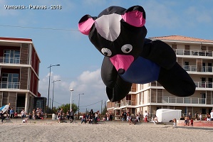 Volovent - Palavas-les-Flots - Hérault