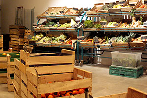Fruits et légumes bio Hérault