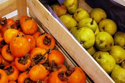 Fruits de saison bio Clermont l'Hérault