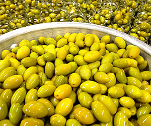 Olives de bouche Montoulieu Hérault