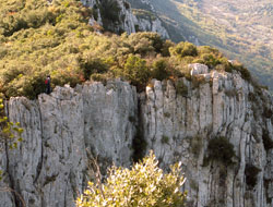 Falaise Pic Saint Loup Hérault