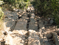 Randonnée - Pic Saint Loup