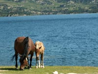 Lac des Bouillouses