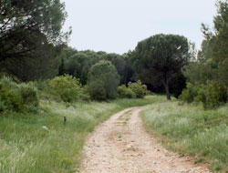 Balade des Capitelles - Villetelle