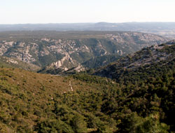 Randonnée Saint Guilhem le Désert