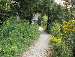 Randonnée Fenestrelles - Saint Guilhem le Désert