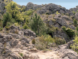 Randonnée Fenestrelles - Saint Guilhem le Désert