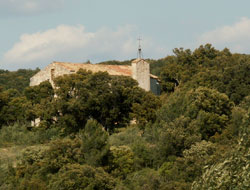 Chapelle Saint-Sylvestre-des- Brousses