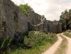 Montcalmès Causse Puechabon