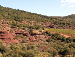 Rocher des vierges - randonnée Hérault