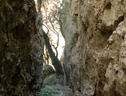 Randonnée Rocher des Vierges Hérault