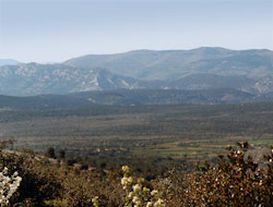 Le Plateau du Coutach - Randonnée Corconne