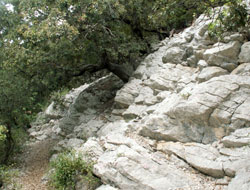 Sentier vers le château