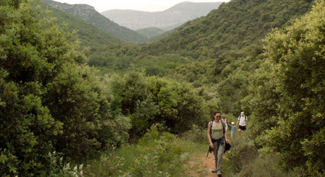 Balades dans les gorges de la Buèges