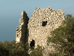 Ruines Château de Montferrand Hérault
