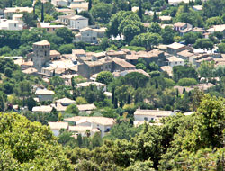 Bois de Lèque - les Matelles