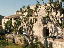 Bois de Lèque - les Matelles