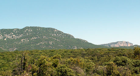 Le bois de Lèque