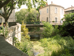 Bois de Lèque - les Matelles