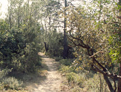 Sentier des charbonnières