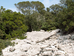 Lapiaz Sentier des charbonnières