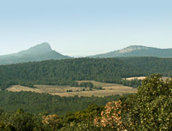 Vue sur lePic Saint Loup Sentier des charbonnières