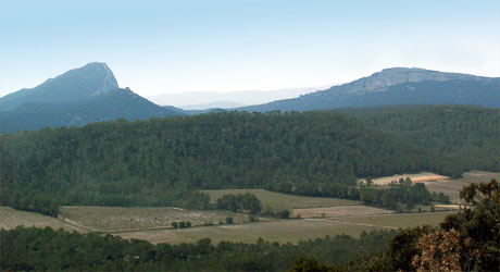 Sentier des charbonnières