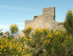 Castellas d’Aumelas