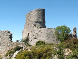 Balade au Castellas d’Aumelas 1