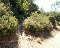 Tunnels de Sernhac - sentier